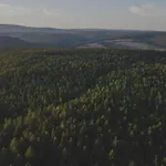 Kunzmann's | 4*